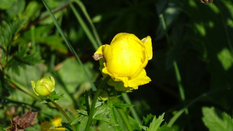 Hohe Kugel_250819_019
